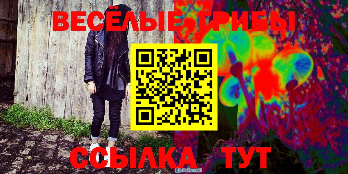 Псилоцибиновые грибы Psilocybine cubensis Биробиджан